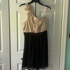 Back and Tan Max and Cleo Cocktail Dress Size 8